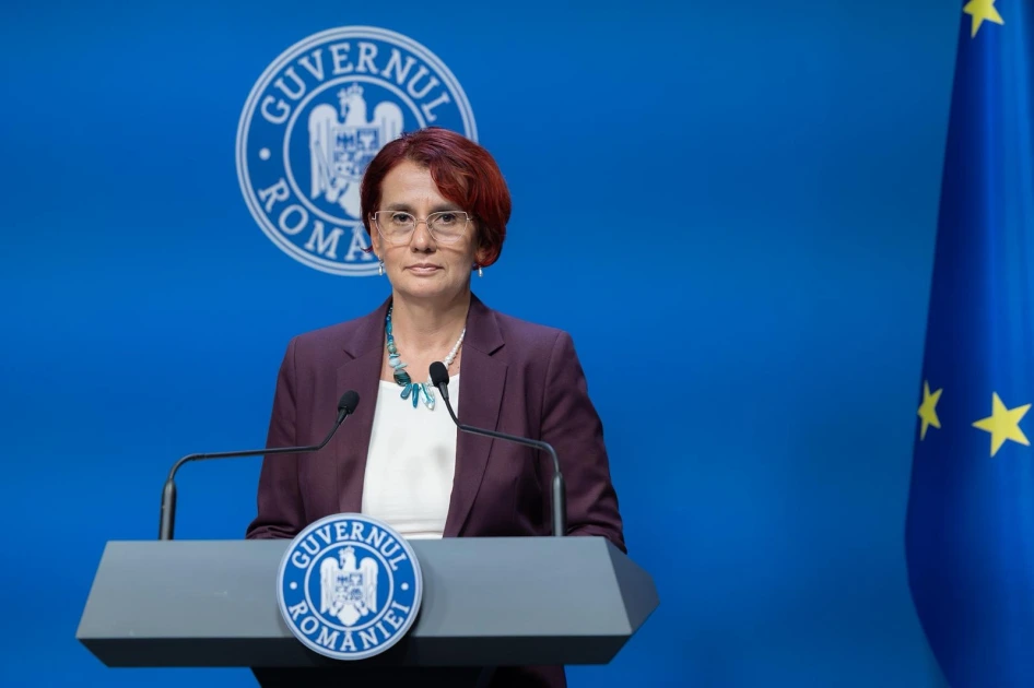 Ioana Dogioiu, despre reactoarele de la Doicești: „Nu s-a pus problema opririi”. Proiectul, în analiza părții americane