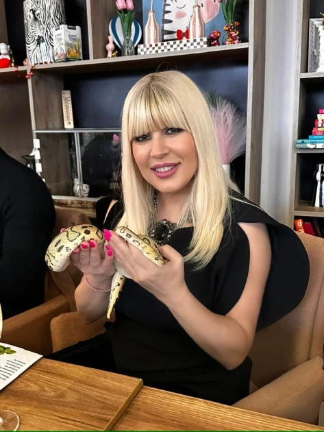 BTT a deschis proces împotriva Elenei Udrea, pe fondul licitațiilor ANAF din dosarul „Gala Bute”