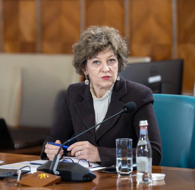 Oana Gheorghiu: „De la oportunitate la dezastru”, despre Electrocentrale Craiova. Compania, în insolvență din decembrie 2025