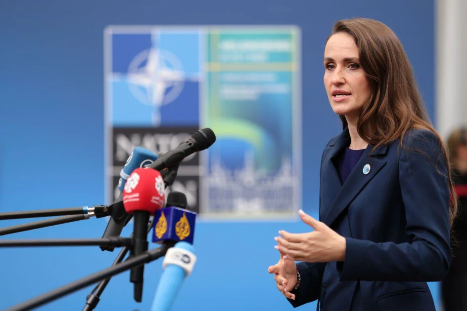 Oana Țoiu, despre sesizarea la CCR pe ordonanța SAFE: „Când contești finanțarea apărării României, faci un joc periculos”