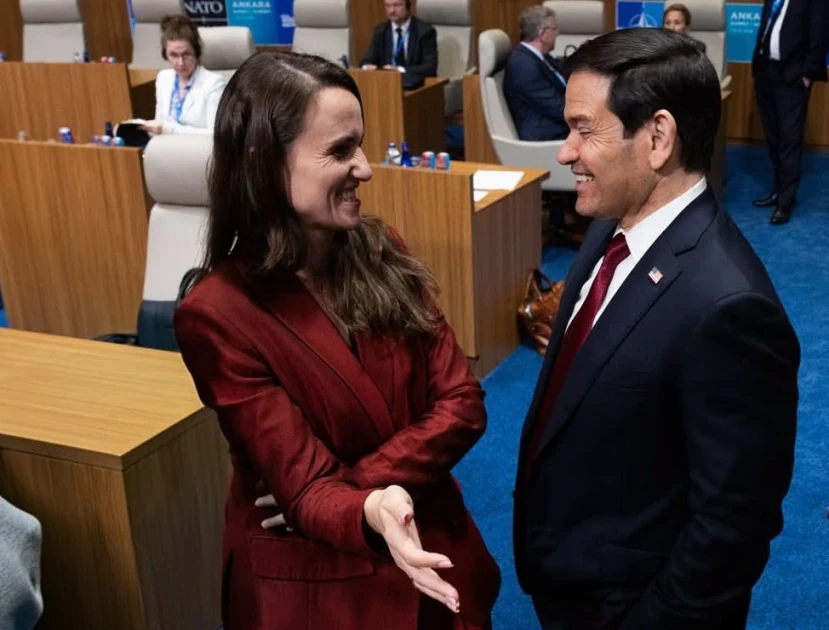 Oana Țoiu, la Summitul NATO de la Ankara: Flancul Estic și Marea Neagră, în centrul descurajării. „Cea mai mare graniță cu războiul din est”