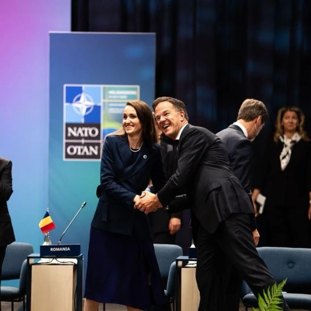 Oana Țoiu, la Summitul NATO de la Ankara: Flancul Estic și Marea Neagră, în centrul descurajării. „Cea mai mare graniță cu războiul din est”