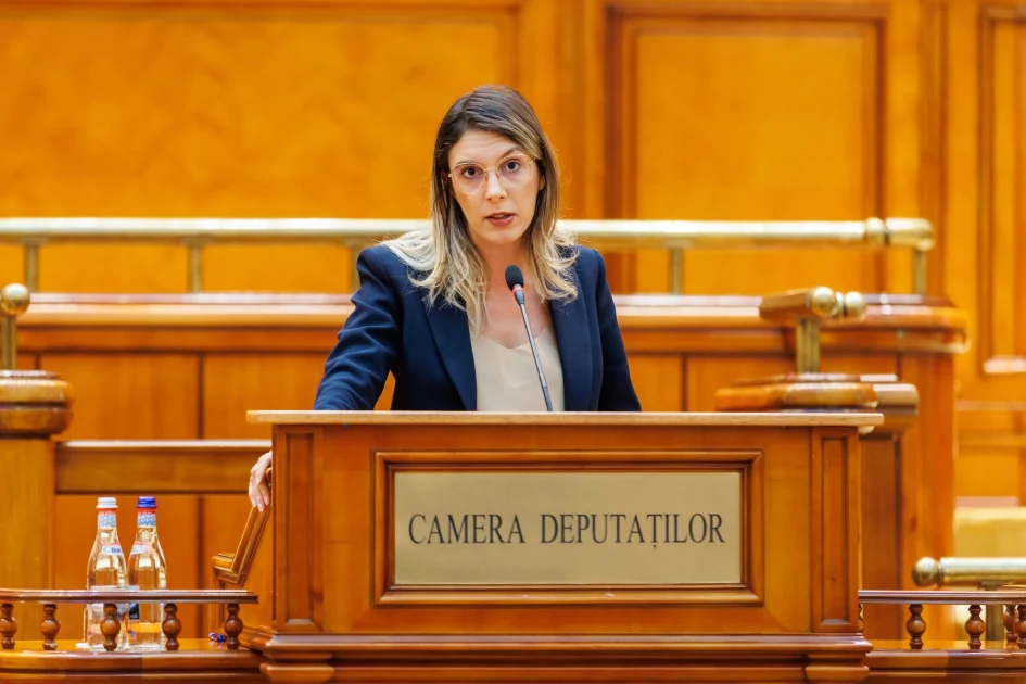 Diana Buzoianu: „aproximativ 5.000 de arbori tăiați ilegal” într-o zonă din Brașov, descoperire a Gărzii Forestiere