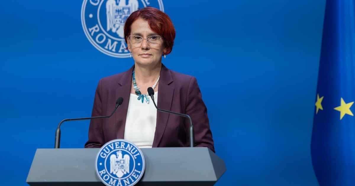 Ioana Dogioiu, despre reactoarele de la Doicești: „Nu s-a pus problema opririi”. Proiectul, în analiza părții americane