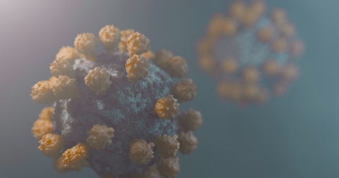 Hantavirus în România: INSP a raportat un caz suspect. Cum se transmite și ce simptome pot apărea