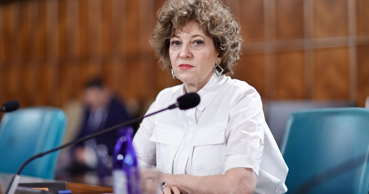 Oana Gheorghiu: datoriile TAROM ajung la 930 de milioane de lei. „Profitul” din 2024, pus pe seama vânzării de active