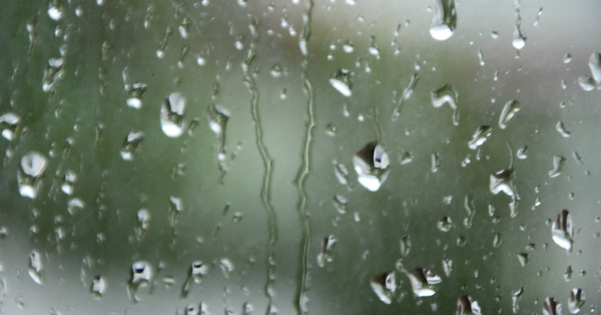 Vremea de Florii, 4–5 aprilie: cod galben de ploi până la 18:00, apoi încălzire spre 21°C