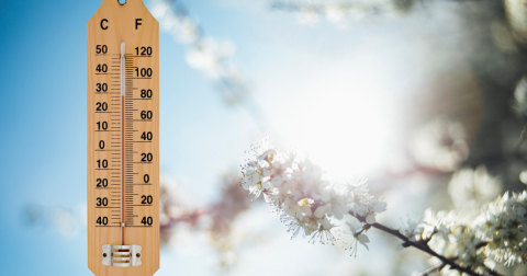 Elena Mateescu (ANM): încălzire accentuată de săptămâna viitoare. Maxime de 19–20°C în sud și valori blânde de Paște