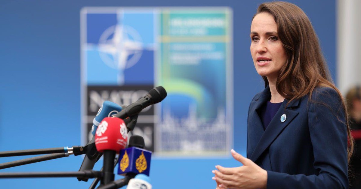 Oana Țoiu, despre sesizarea la CCR pe ordonanța SAFE: „Când contești finanțarea apărării României, faci un joc periculos”