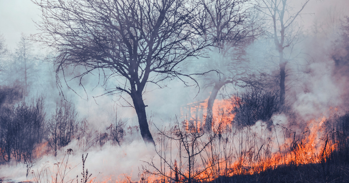 Studiu: încălzirea globală s-a accelerat după 2015. Ritmul estimat ajunge la 0,35°C pe deceniu