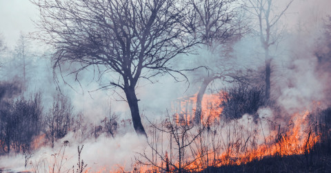 Studiu: încălzirea globală s-a accelerat după 2015. Ritmul estimat ajunge la 0,35°C pe deceniu