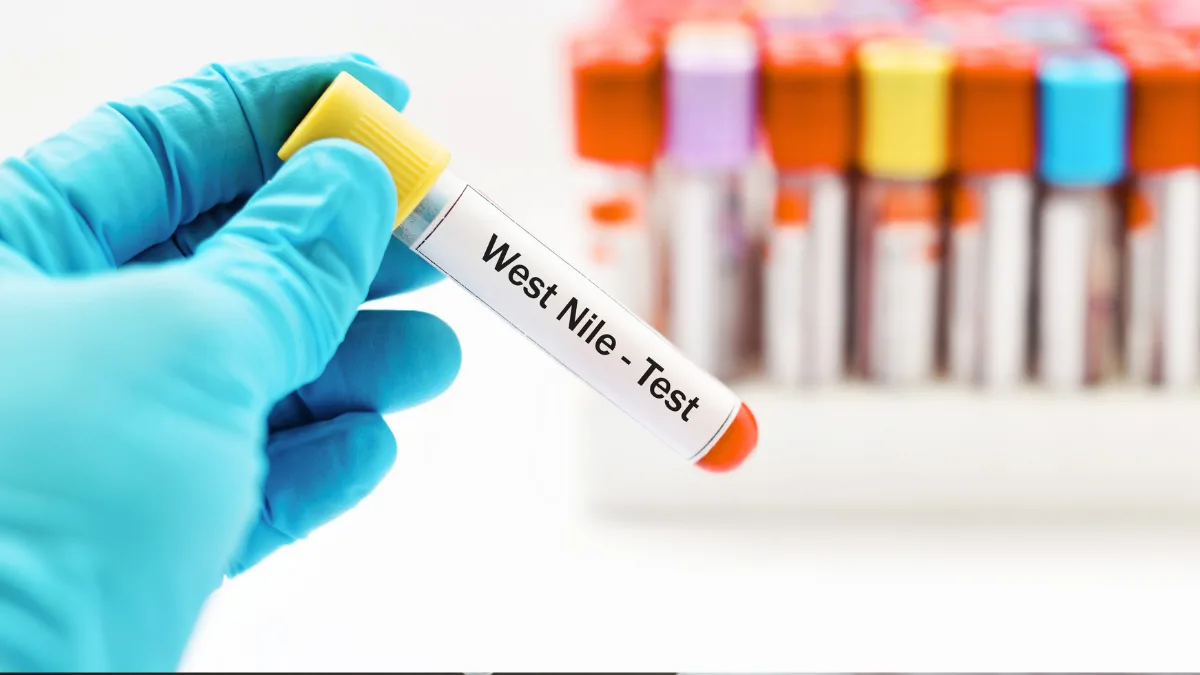 West Nile în România: 117 cazuri și șapte decese în bilanțul până la 30 septembrie