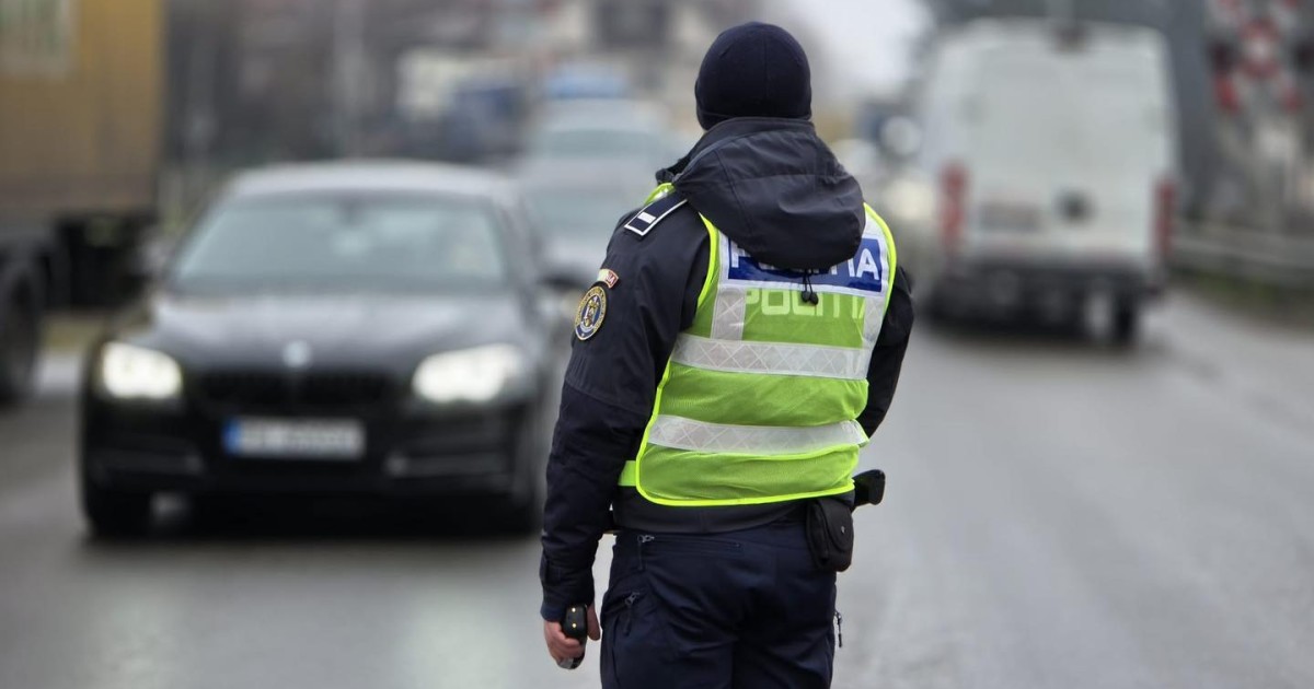 Autoturism oprit pe DN6, în Teleorman: ce au decis polițiștii după ce au găsit peste o tonă de pește