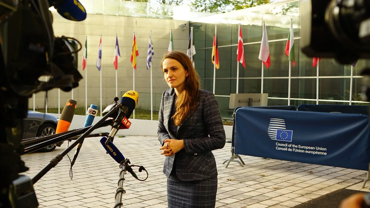 Oana Țoiu în fața microfoanelor presei, lângă un panou cu însemnele Consiliului Uniunii Europene.