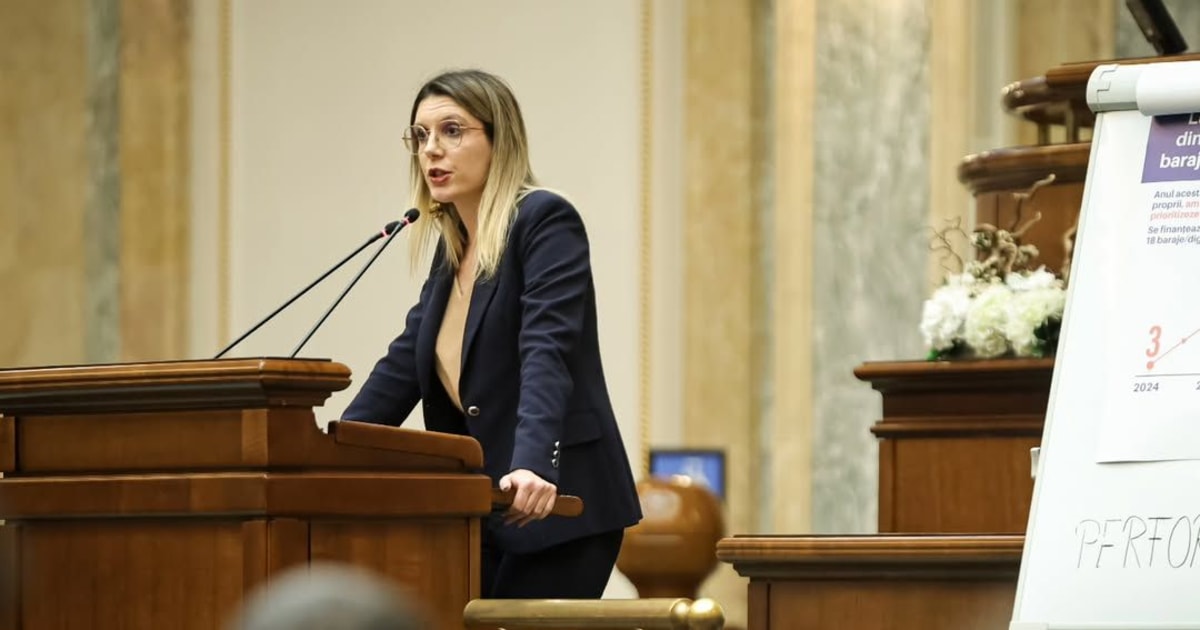 Moțiunea împotriva Dianei Buzoianu, respinsă în Senat. PSD a criticat-o, dar nu a votat demersul