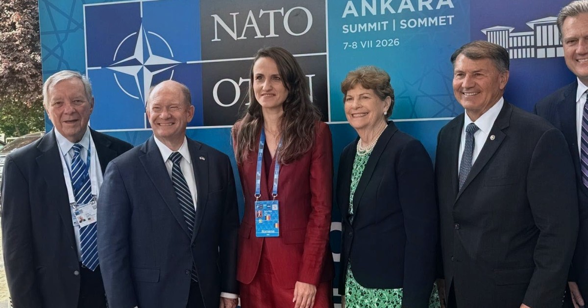 Oana Țoiu, la Summitul NATO de la Ankara: Flancul Estic și Marea Neagră, în centrul descurajării. „Cea mai mare graniță cu războiul din est”