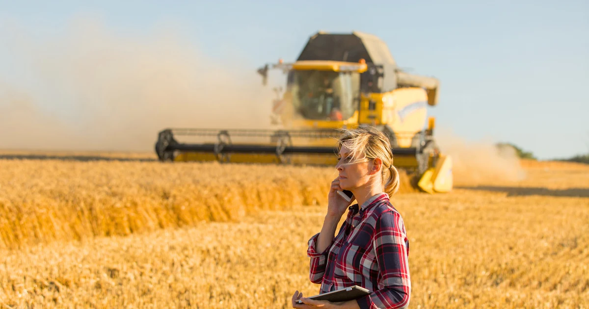 Senatul a adoptat proiectul: fermierii pot cere în instanță demolarea construcțiilor ilegale din jurul fermelor și pot accesa fonduri PAC