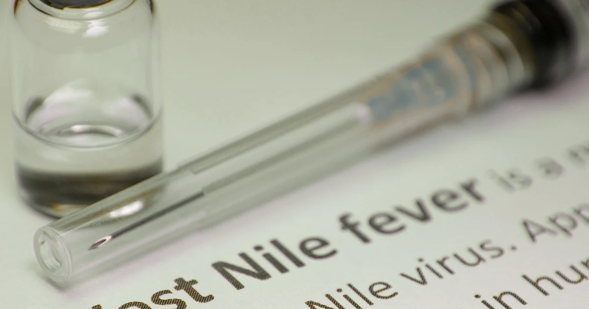 Virusul West Nile în Europa: 12 țări raportează cazuri, iar România are 14 zone afectate (locul 3)